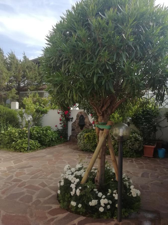 Casa Vacanze Villa Rosa Cala Gonone Eksteriør bilde