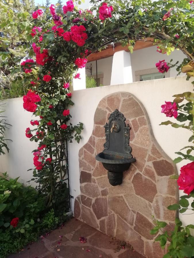 Casa Vacanze Villa Rosa Cala Gonone Eksteriør bilde