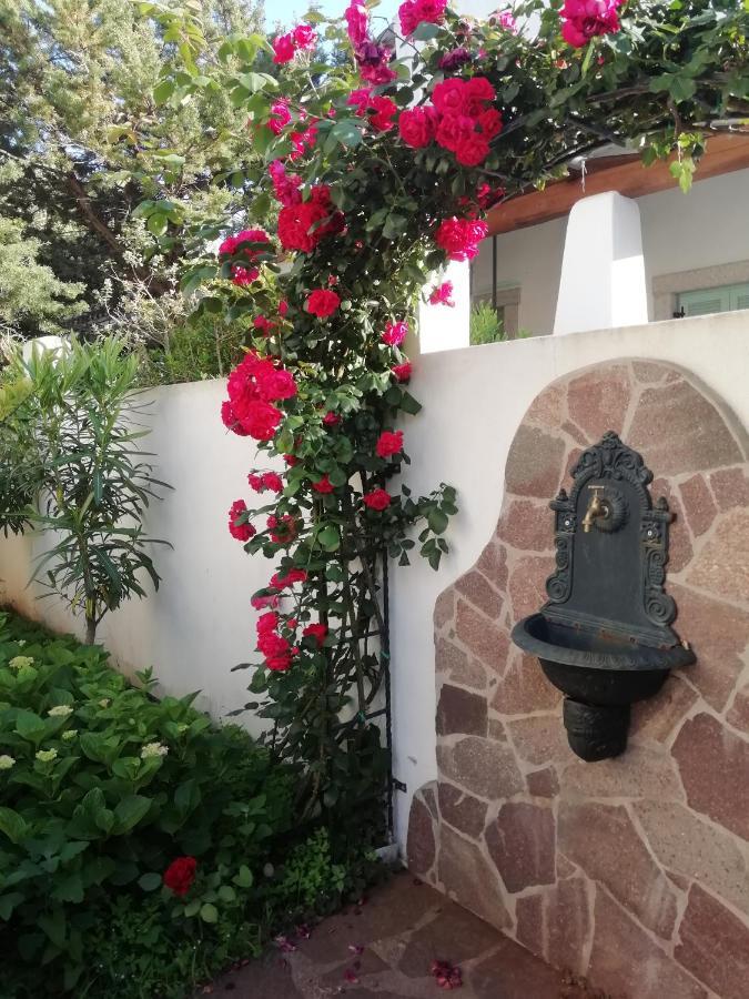 Casa Vacanze Villa Rosa Cala Gonone Eksteriør bilde