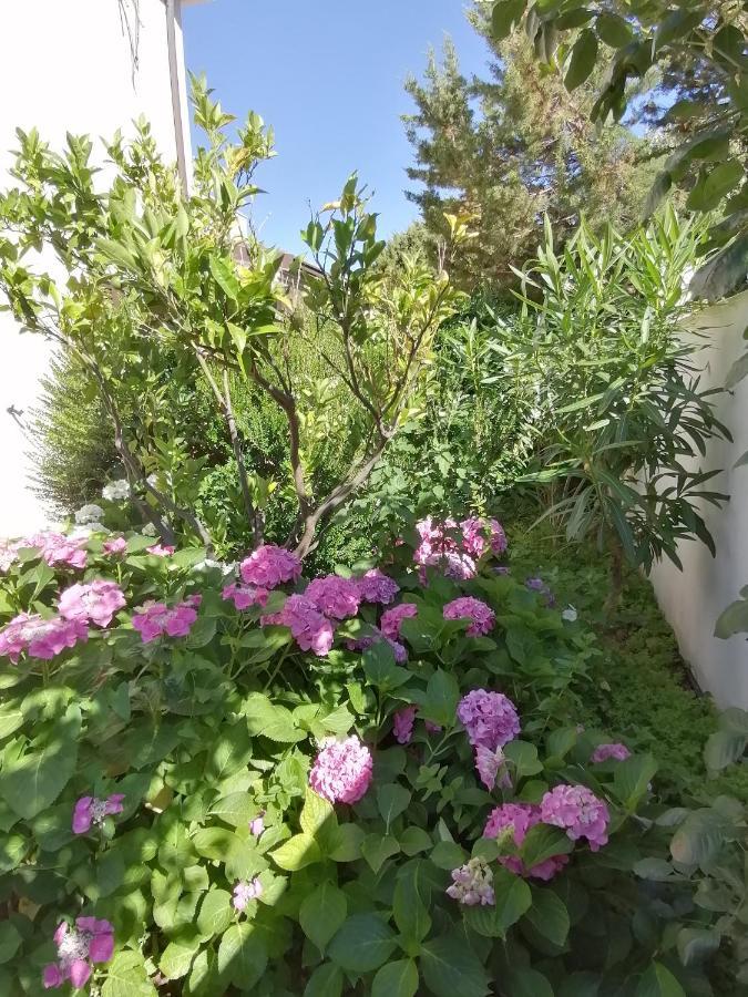 Casa Vacanze Villa Rosa Cala Gonone Eksteriør bilde